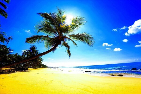 Sun glare on a sandy beach by the ocean