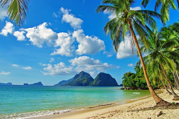 Hermosas vistas al mar de los trópicos entre las palmeras son simplemente un paraíso