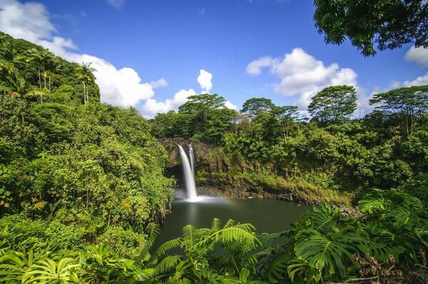 Ich möchte den Dschungel besuchen und unter einem Wasserfall stehen