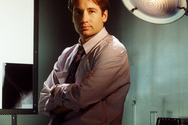 David Duchovny photo of the actor