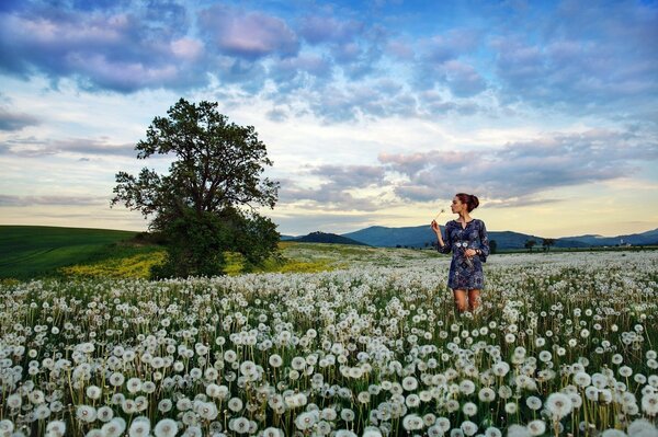 Mädchen im blauen Kleid auf einem Feld mit Löwenzahn