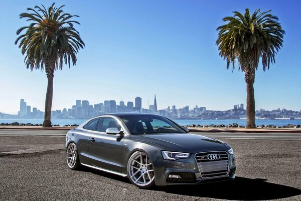 Audi superdeportivo en el fondo de las palmeras