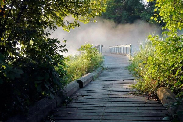 A bridge that goes into the fog in summer