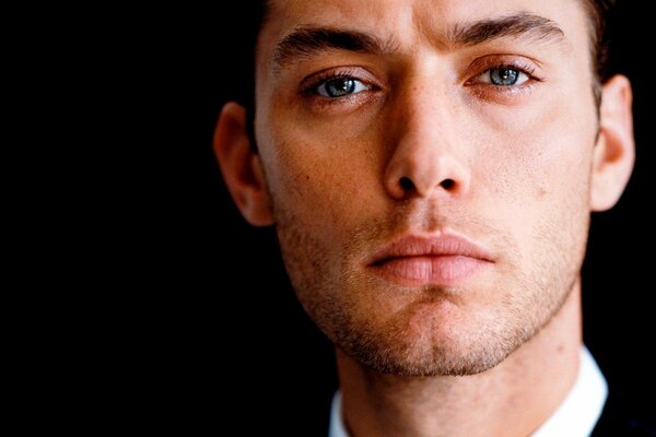 Jude Law and his straightforward gaze of gray-blue eyes