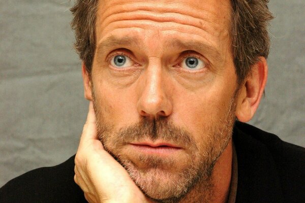 Charming actor Hugh Laurie