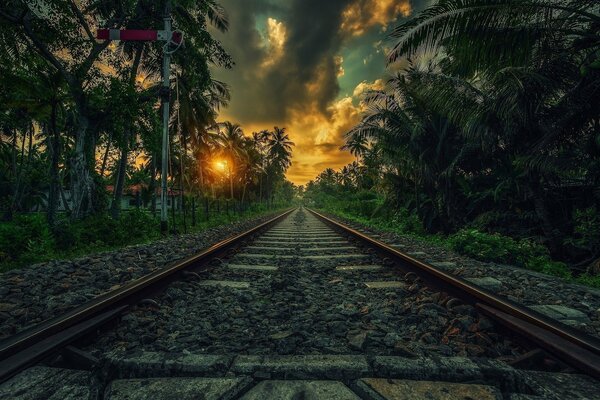 Chemin de fer au coucher du soleil