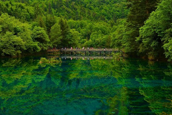 Schöner See mit Momt in der Mitte des Waldes