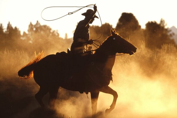 Cowboy on a horse in the field