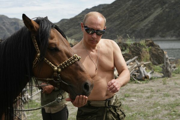 Hombre con gafas negras arnés de caballo brida