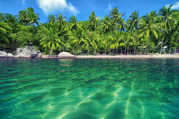 Blaue Lagune auf einem Hintergrund von grünen Palmen
