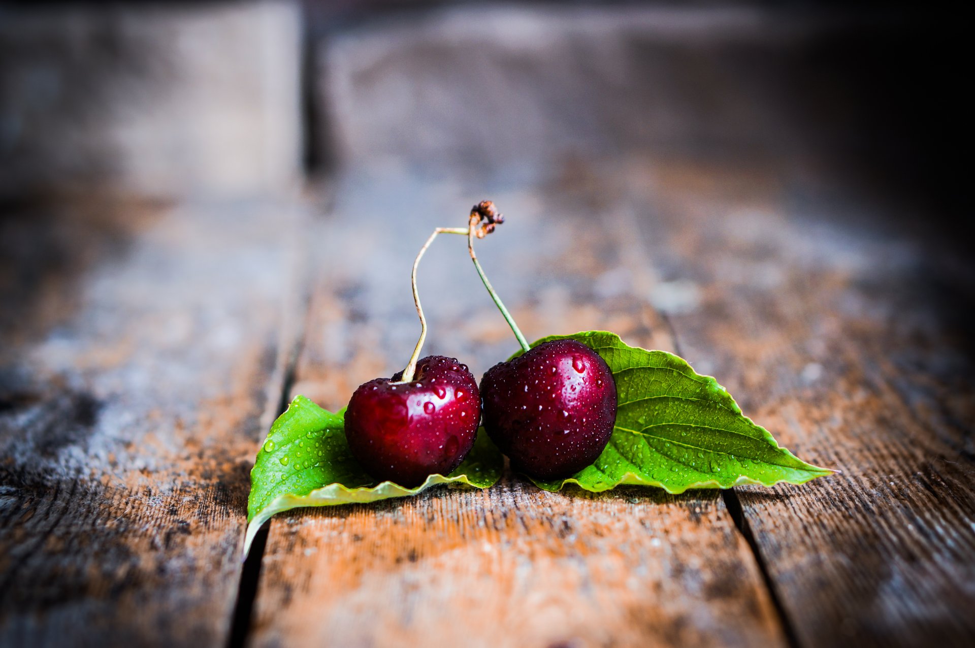 kirsche beeren frisch kirschen