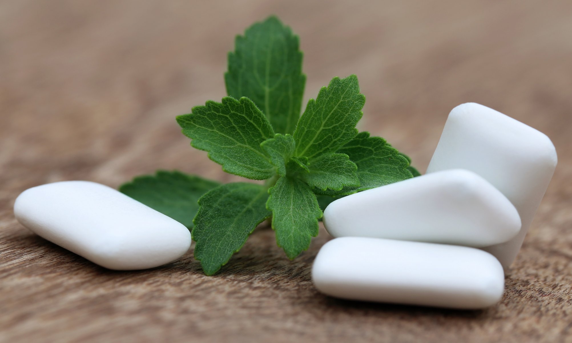 food bubble gum chewing gum gum pads branch mint freshness menthol yum-yum background blur bokeh wallpaper