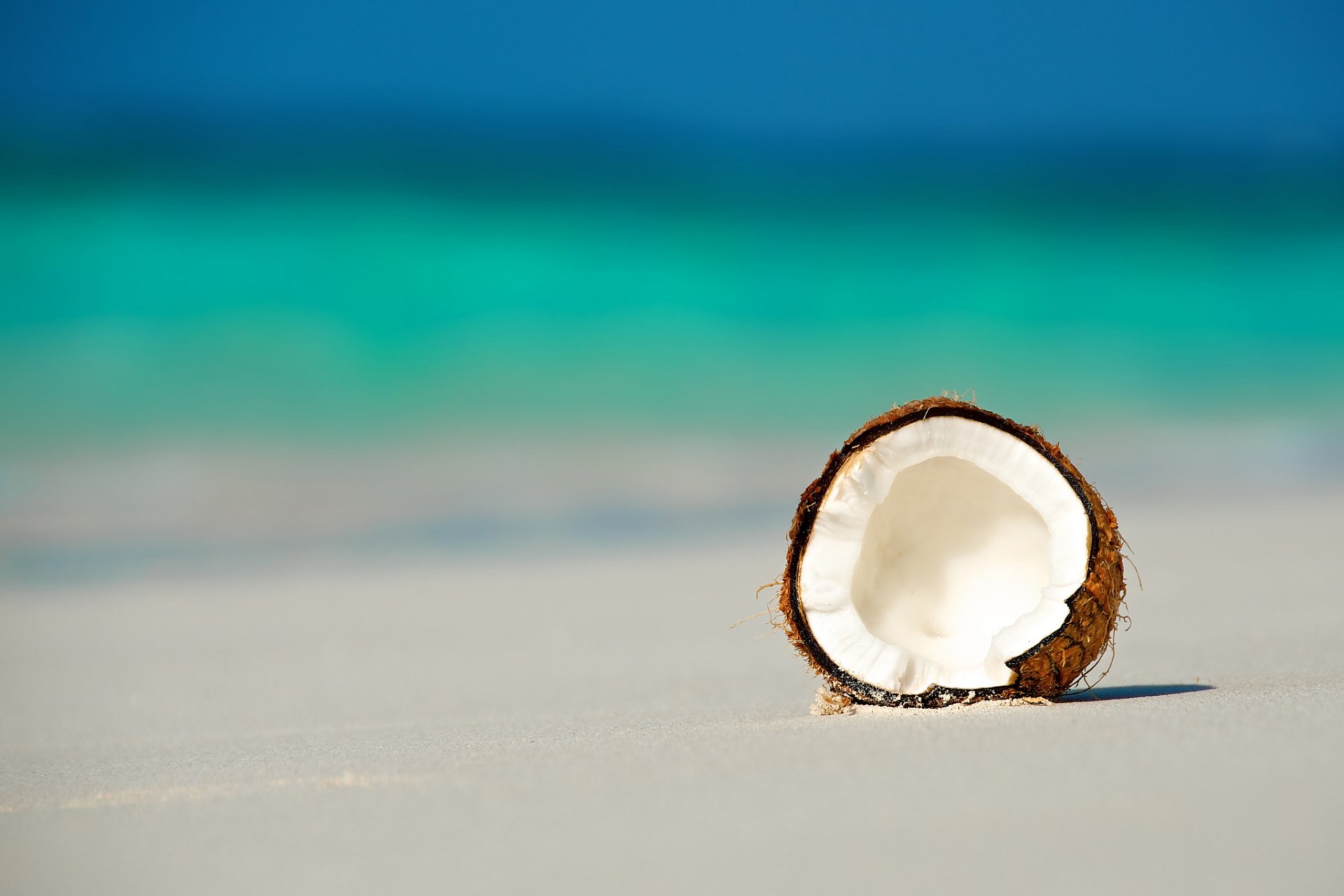 maldives océan plage noix de coco noix