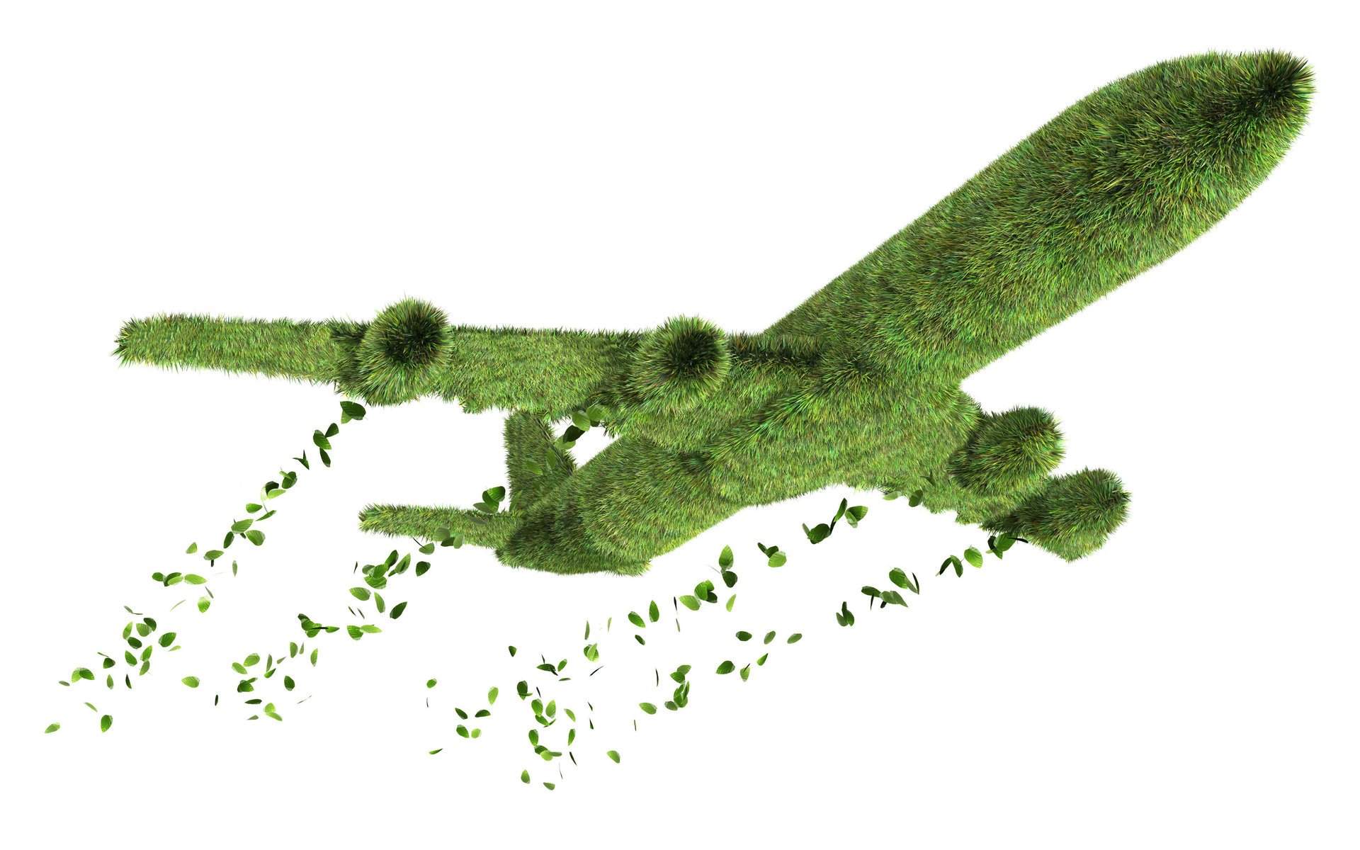 the plane flight grass creative