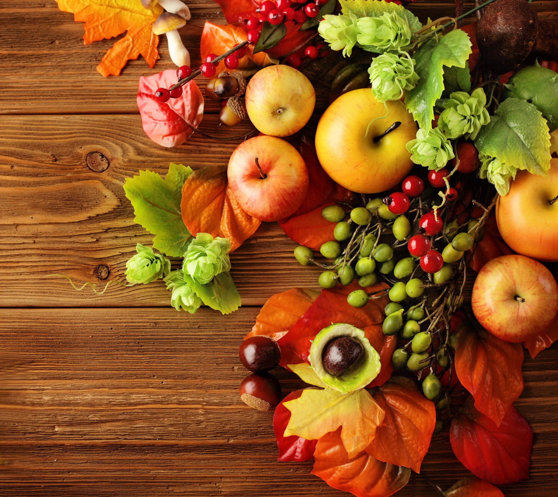 otoño hojas bayas naturaleza muerta cosecha manzanas