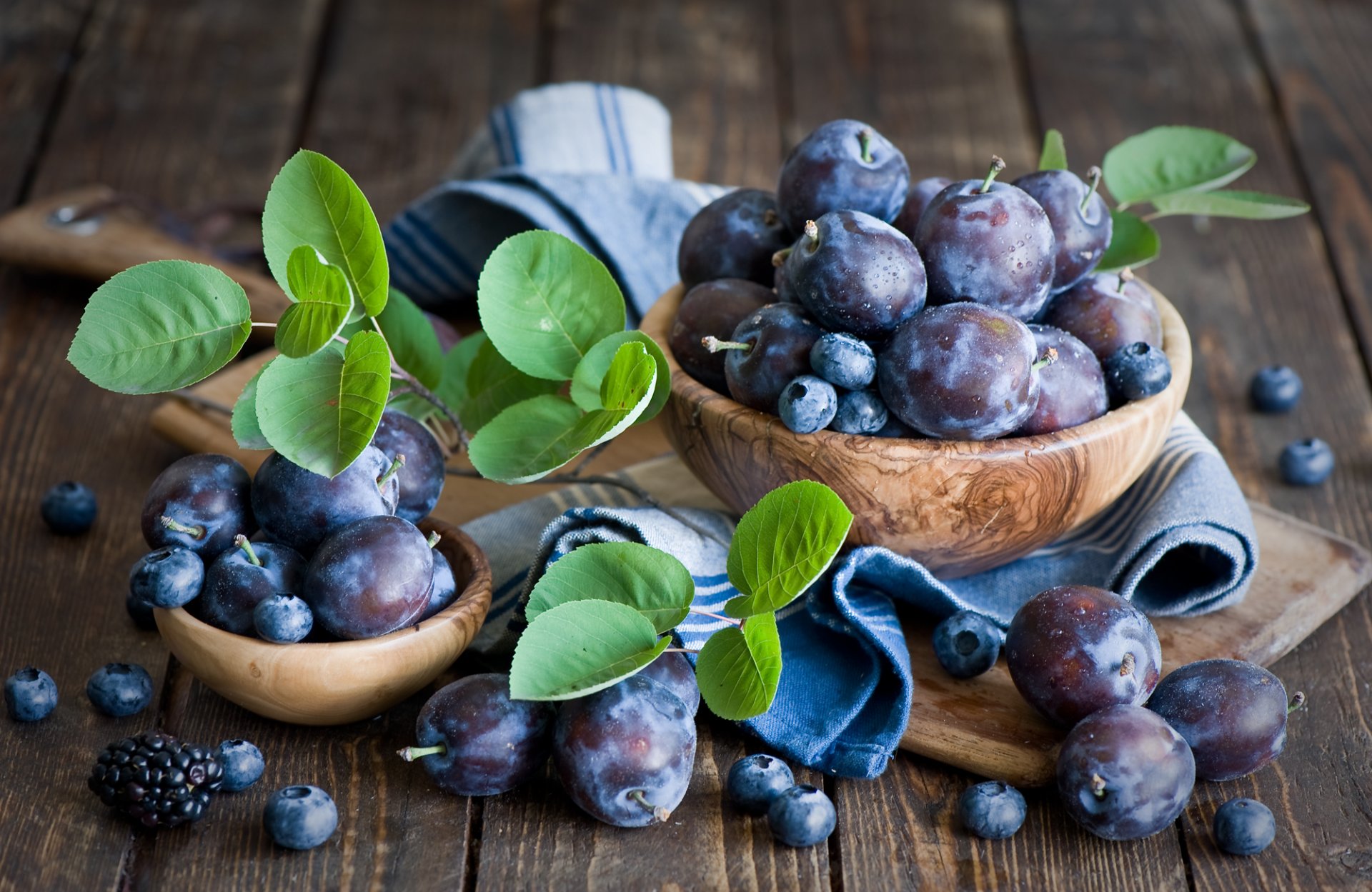 baies prunes myrtilles feuilles