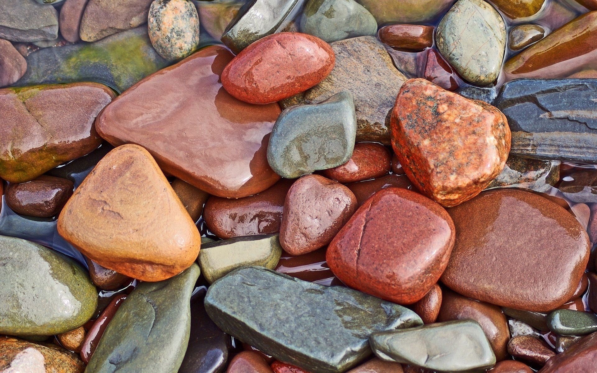 mojado rápido piedras