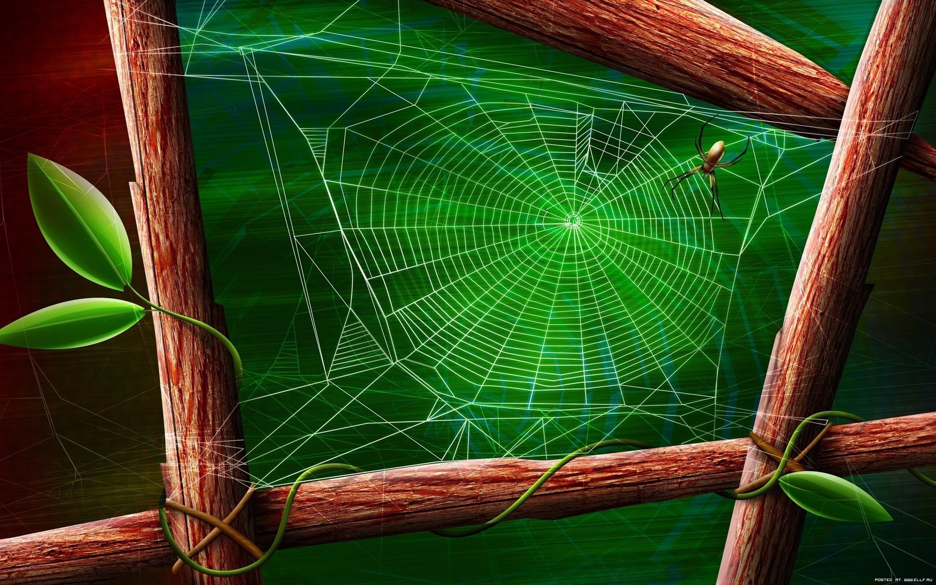 gossamer spider