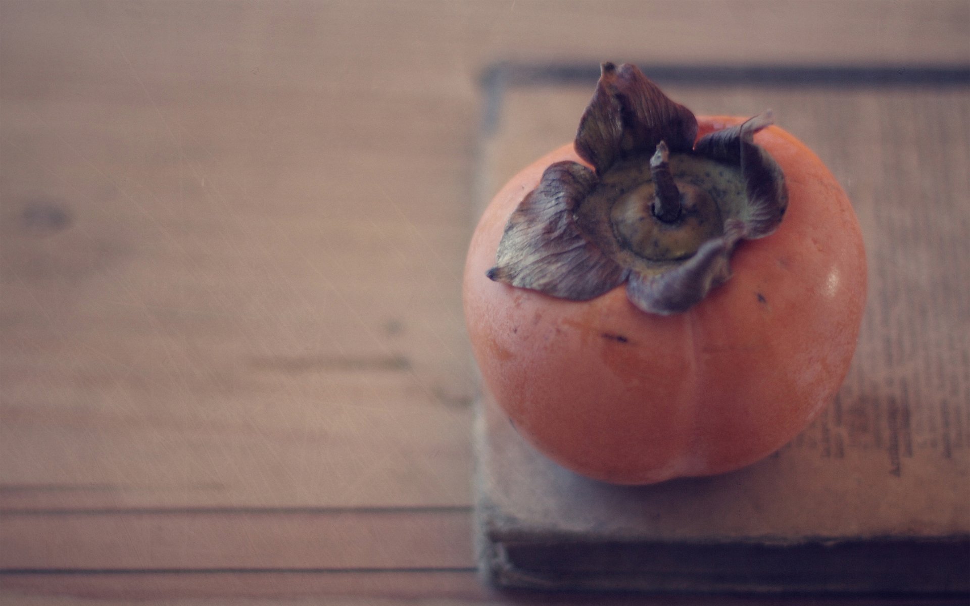 persimmon owoc książka