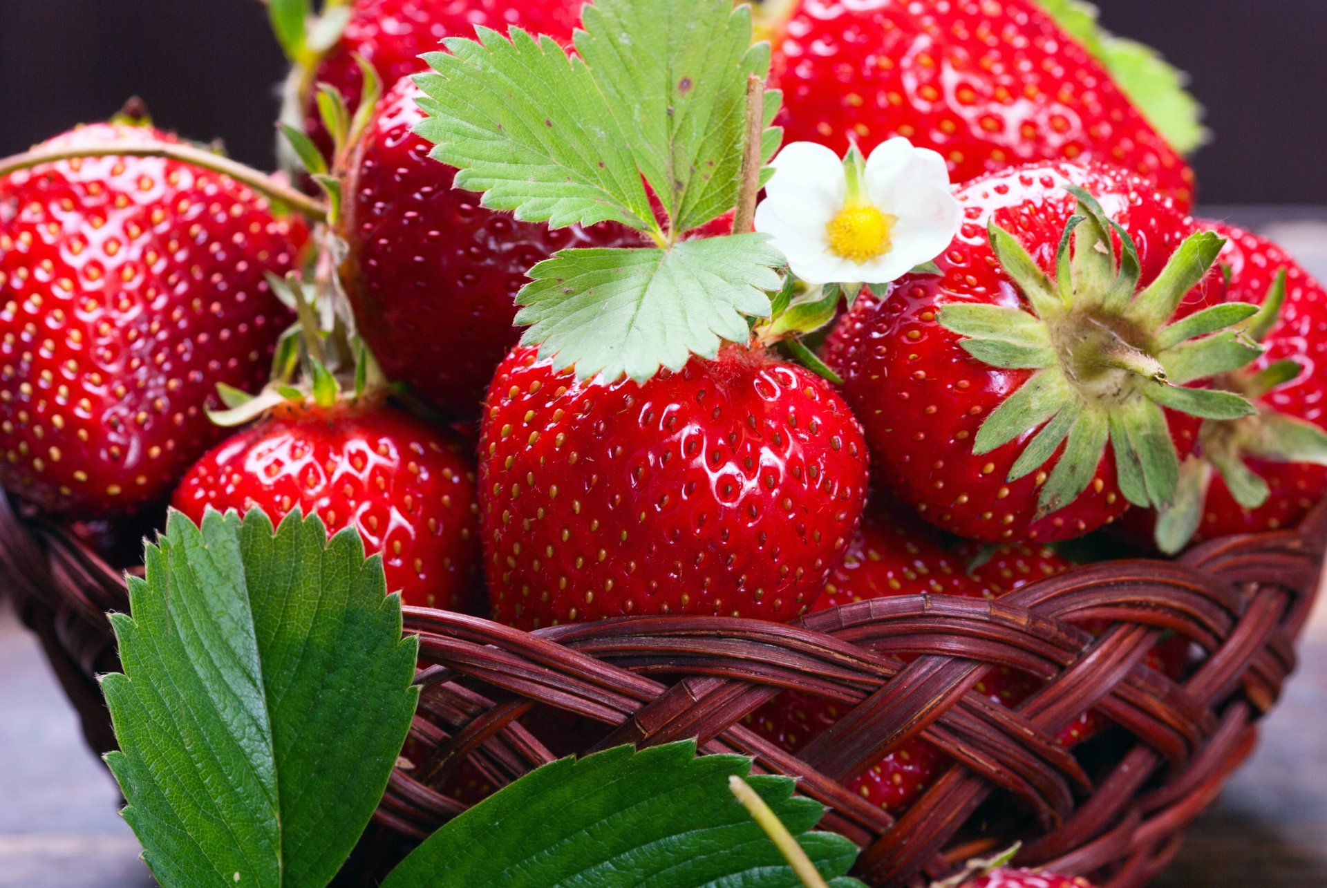 fraise frais baies panier