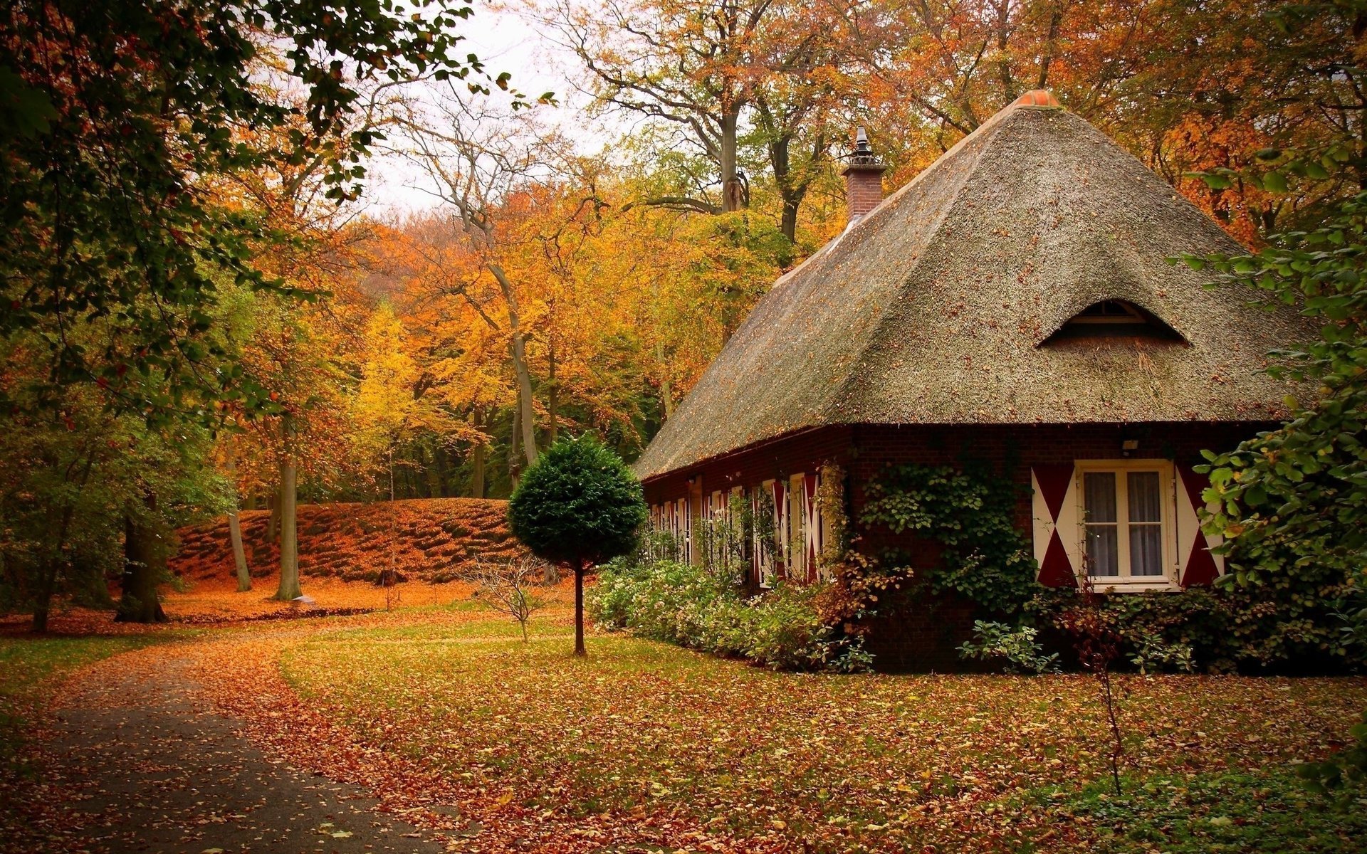 colori autunnali precisione bellissimo paesaggio autunnale casa