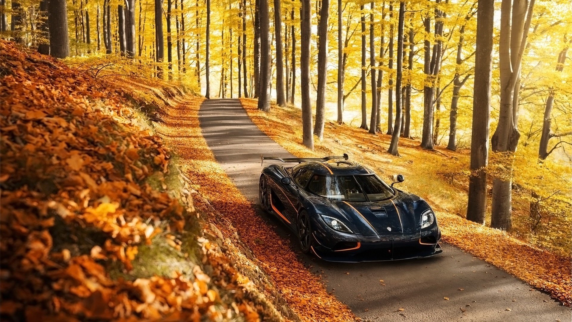 koenigsegg supersamochód jesień natura