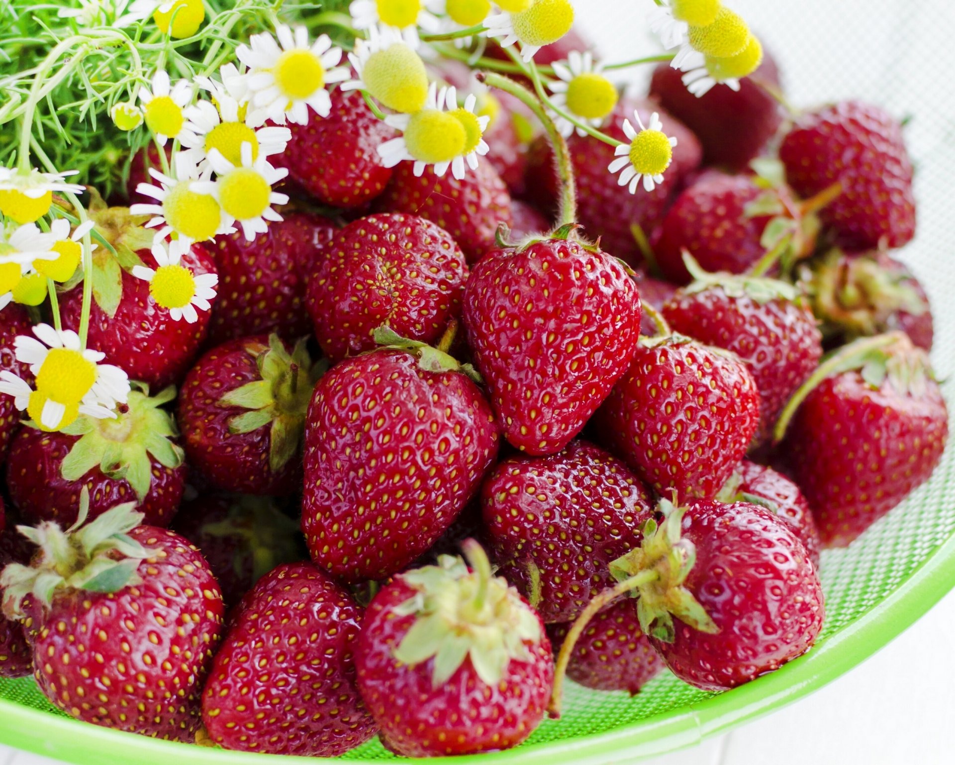 berries strawberry chamomile flower