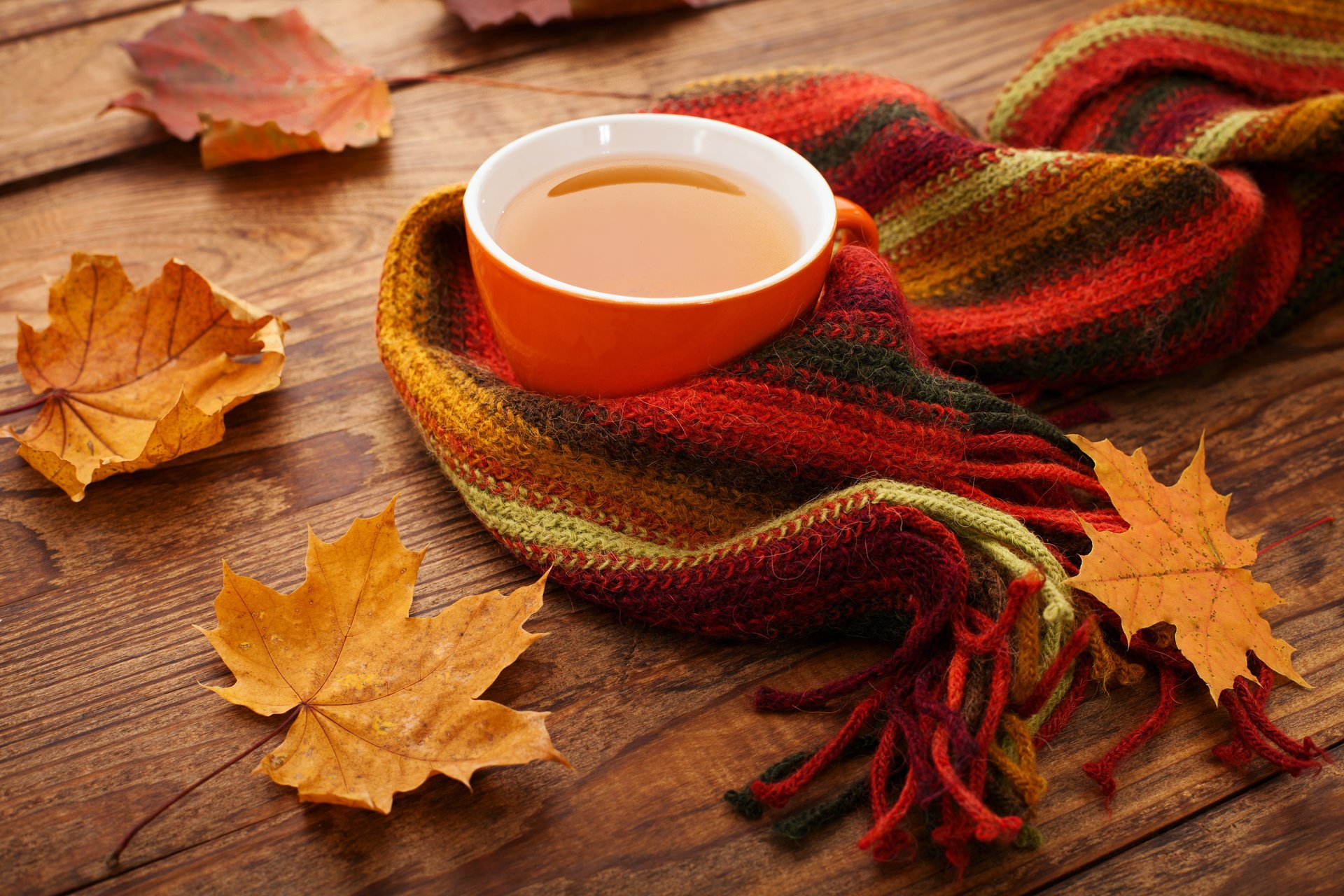 autunno autunno foglie acero tazza tè sciarpa foglie d autunno