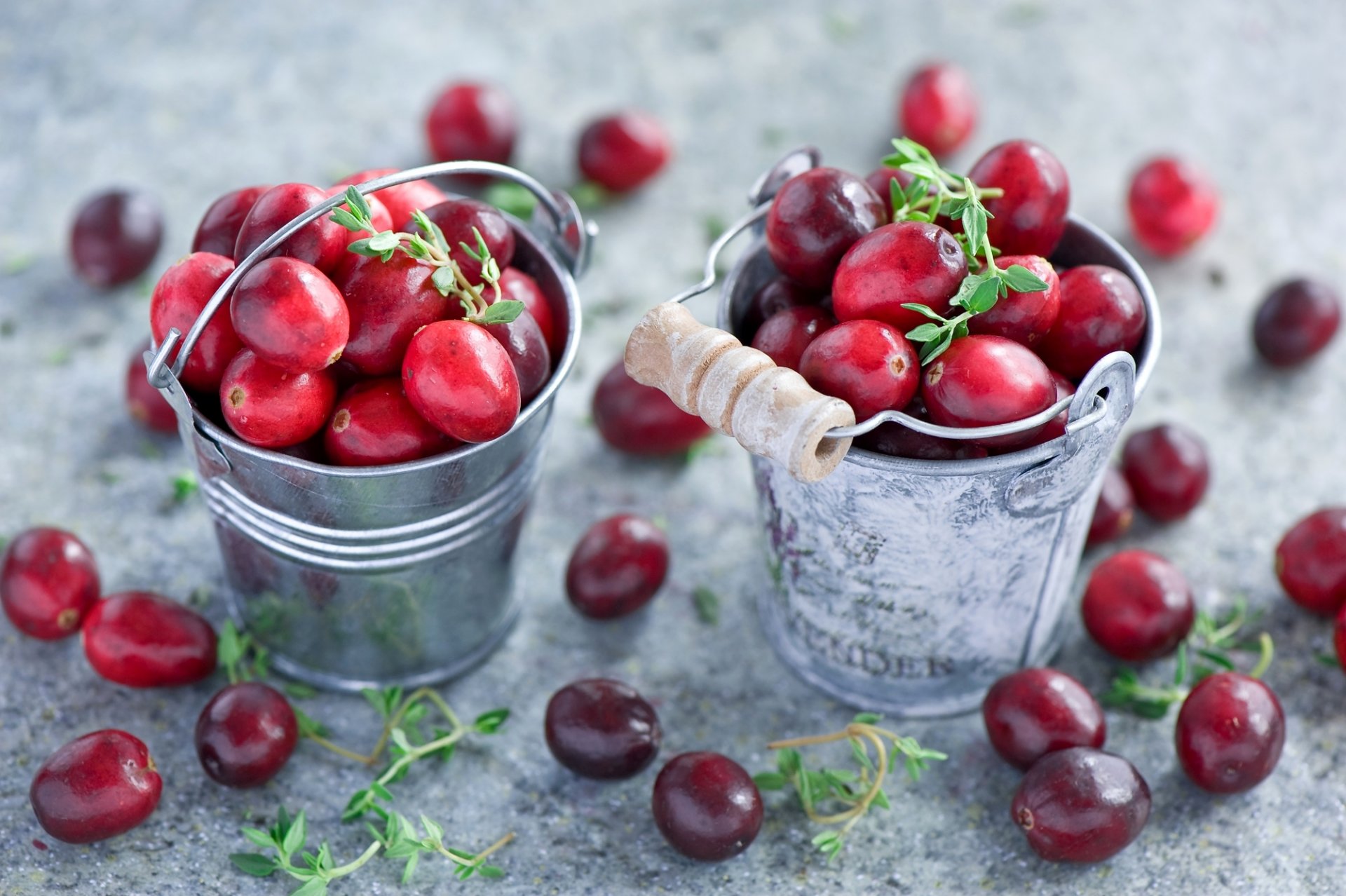 cranberries berries red leaves anna verdina