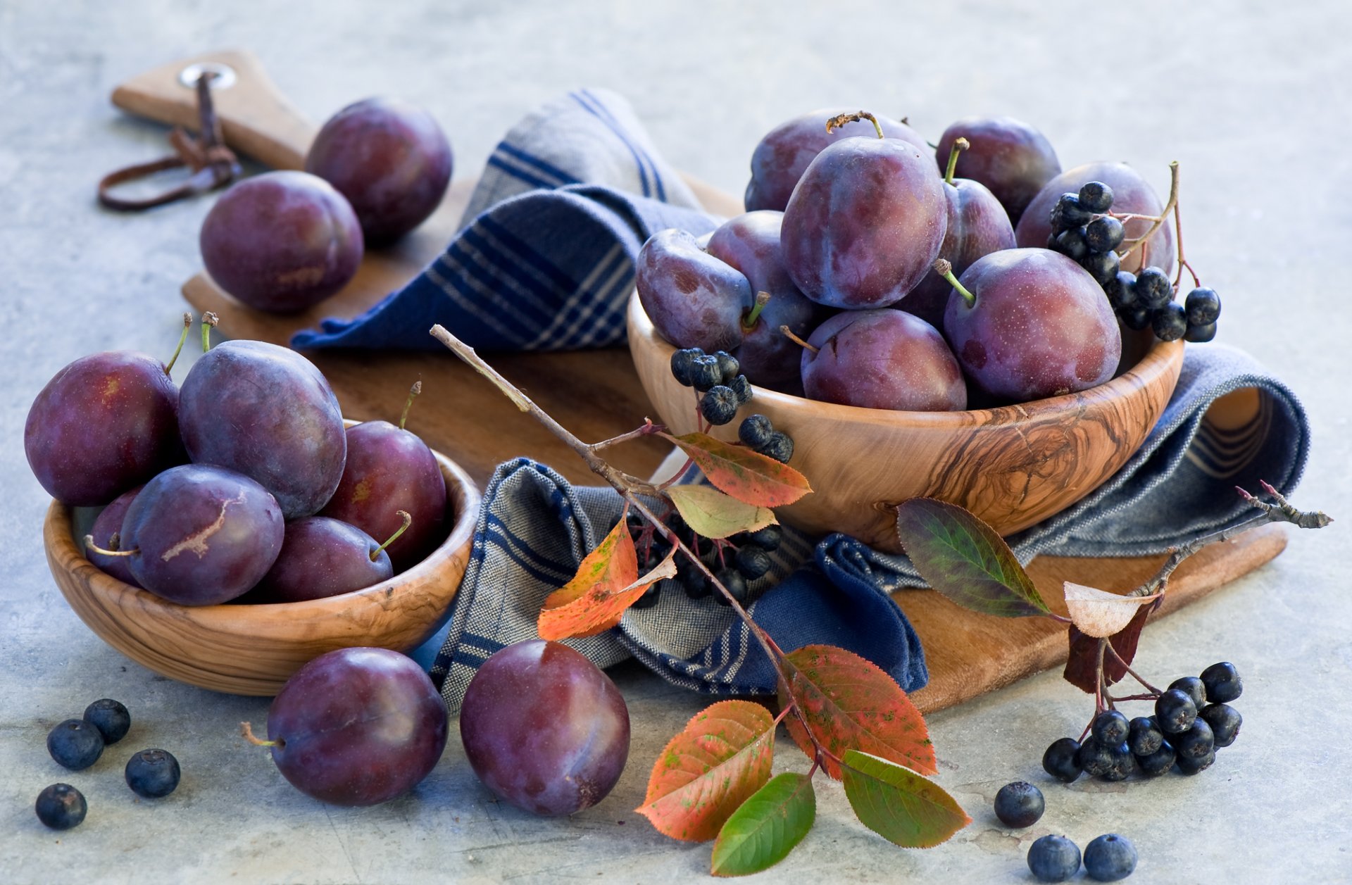 prugne aronia bacche aronia ramoscello foglie