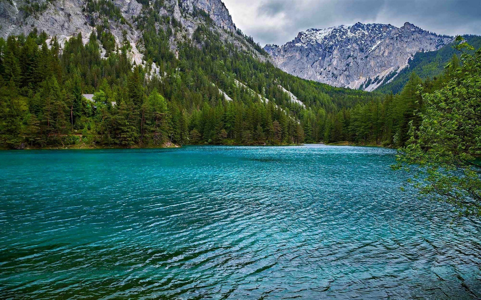 montagnes forêts lac joliment alpes