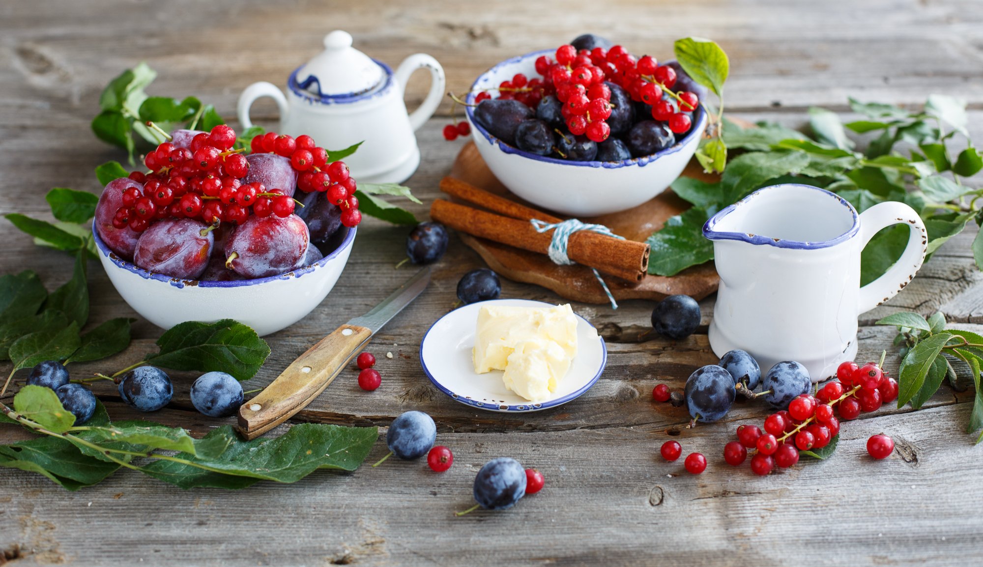 prunes groseilles rouges baies