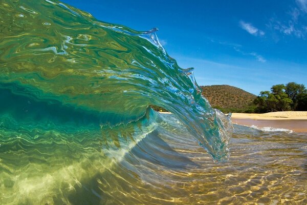 Beautiful wave on the tropical sea
