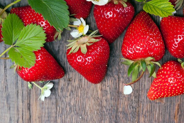 Summer mood - fresh strawberries