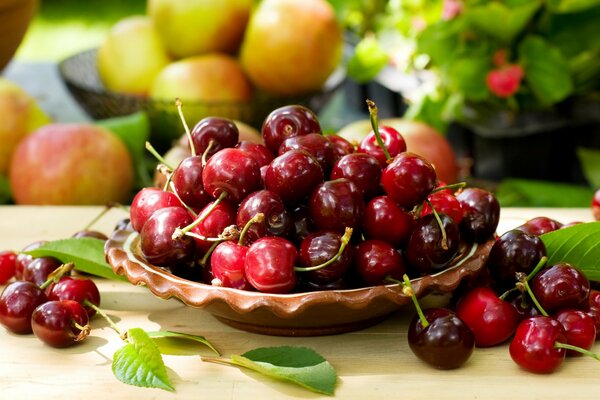 Fresh berries in a bowl - cherry