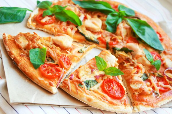 Delicious slices of pizza with tomatoes and herbs