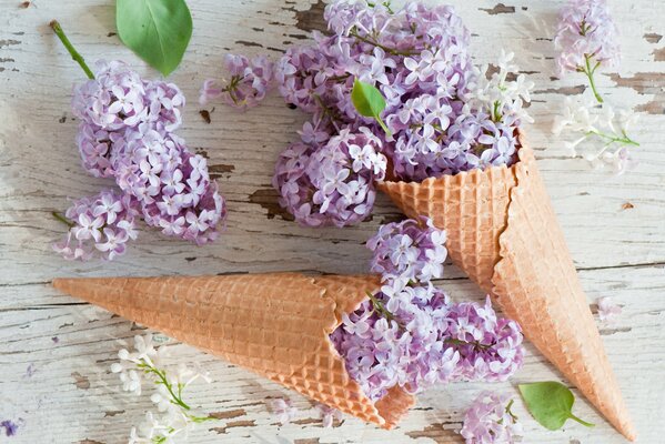 Waffelhorn mit Fliederblüten