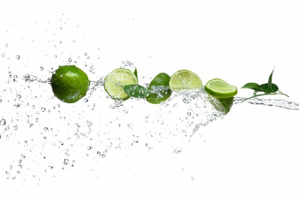 Tranches de citron vert dans les éclaboussures d eau