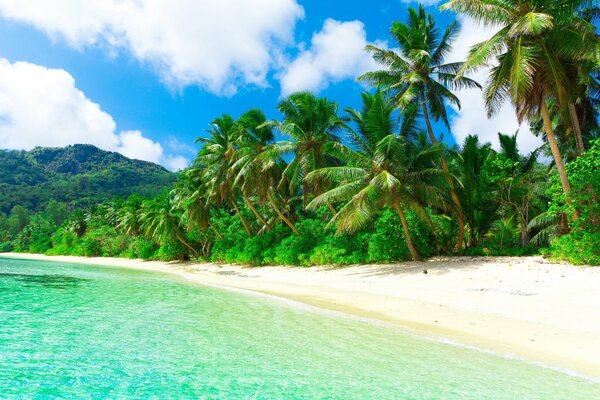 Strand an einem sonnigen Tag in den Tropen