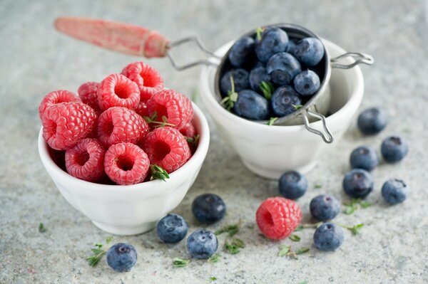 Himbeeren und Blaubeeren sind ein Vorrat an Vitaminen