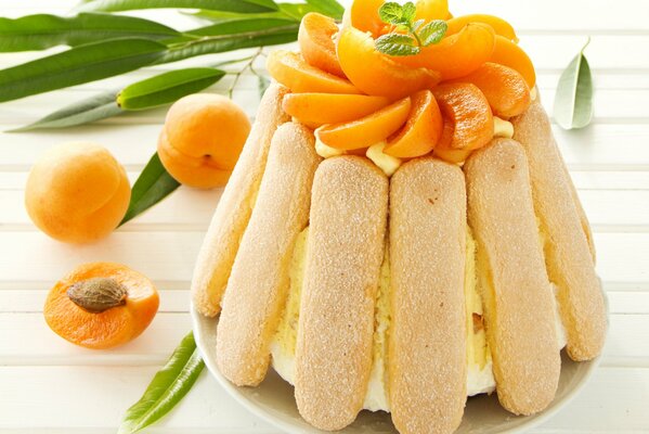 Pastel de cuajada decorado con albaricoques y menta