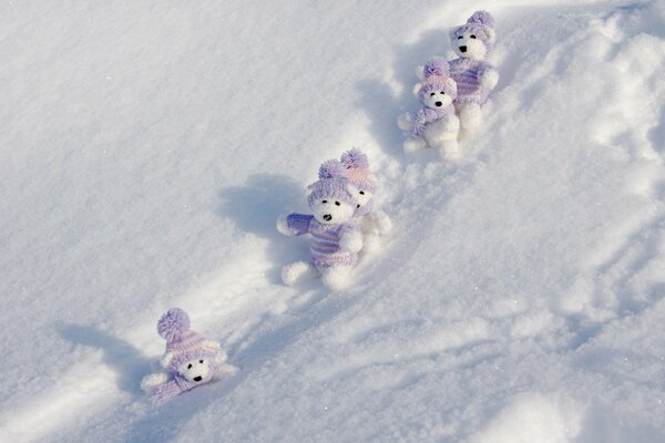 The white bears went out for a run