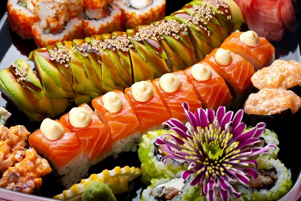 Sushi and rolls, Japanese cuisine