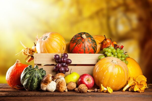 Herbst-Stillleben mit einer Ernte von Gemüse und Früchten