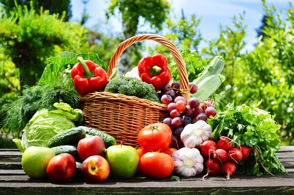 All the wealth of autumn in one basket