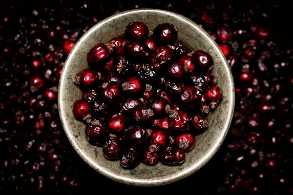 Untertasse mit getrockneten Johannisbeeren