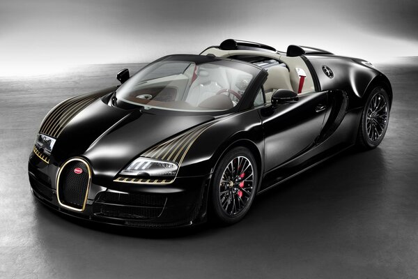 Bugatti Veyron nero su sfondo grigio