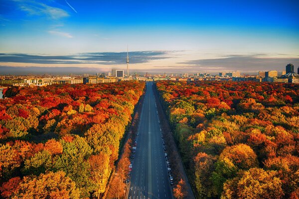 Allemagne. Route d automne dans la ville