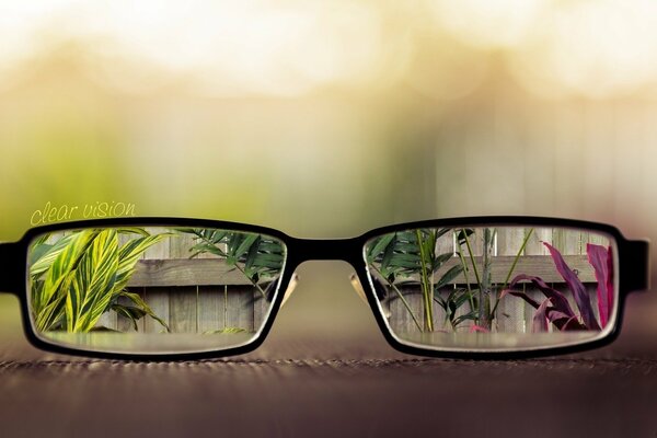 A look at the world through rose-colored glasses