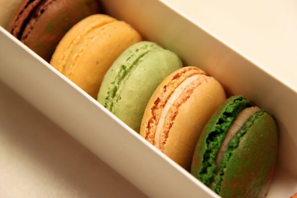 Colorful macaroon cookies close-up